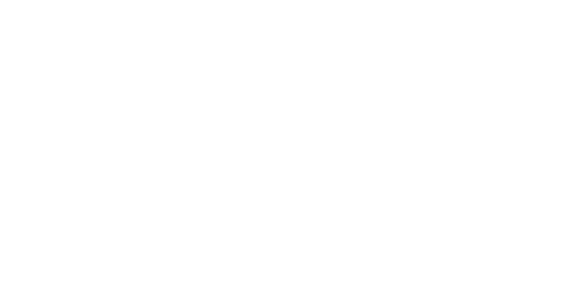 Danube Delivery